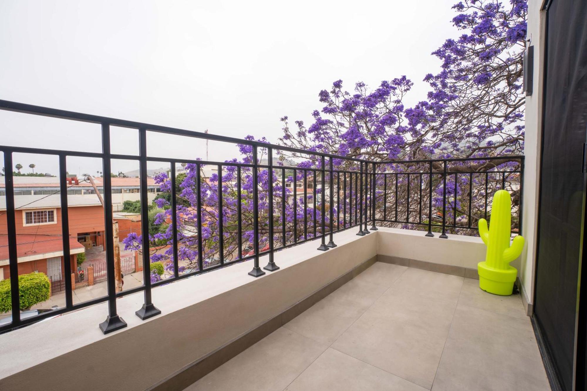Suites Miramar14 Ensenada Zewnętrze zdjęcie